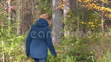 一个苗条甜美的女人走过一片美丽的秋天森林，在桦树和枞树之间，欣赏着枯黄的叶子